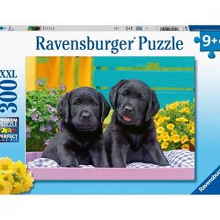 RAVENSBURGER ROZTOMILE MLADATA 300 DIELIKOV /2412950/